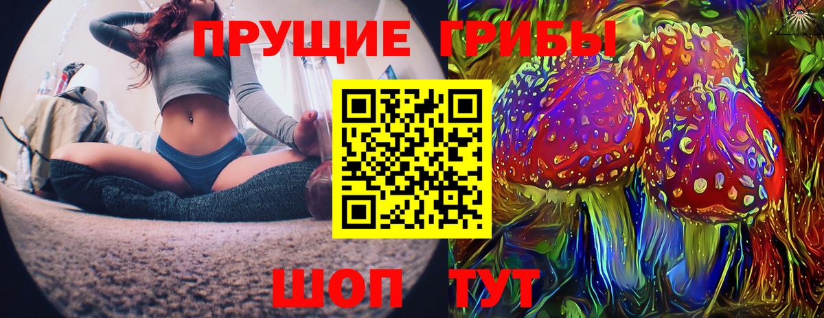Псилоцибиновые грибы мицелий Реутов